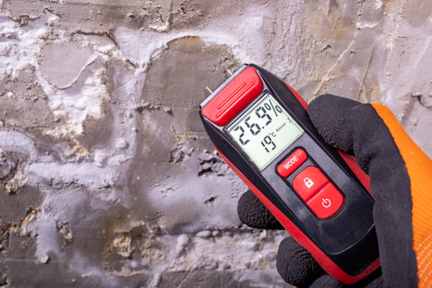 Best Mold Removal Company Near Me  in Tignall, GA