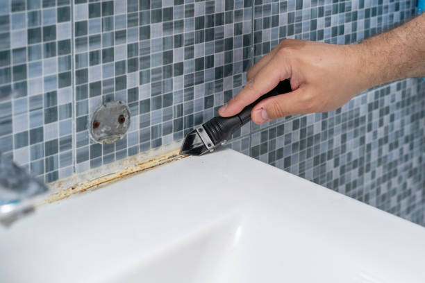 Best Residential Mold Removal  in Tignall, GA